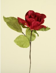 mediumpaperrosered[1]
