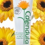nelsons-calendula-cream-279x215[1]