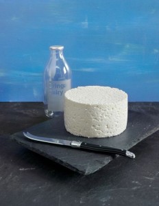 Queso-Fresco1-232x300[1]