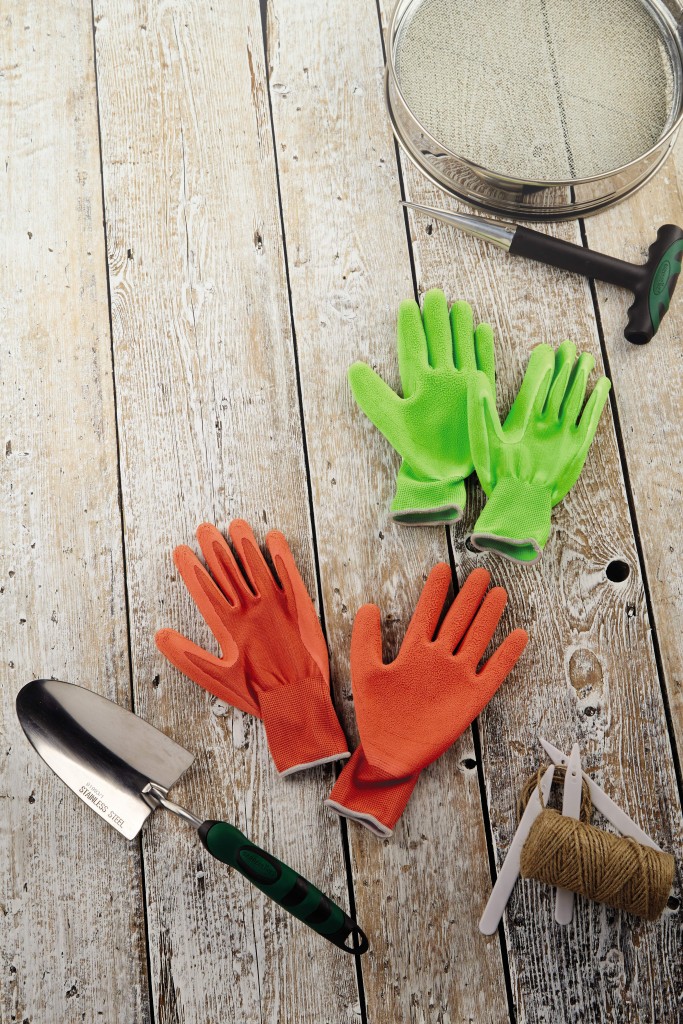 Aldi Specialbuys Grow Your Own