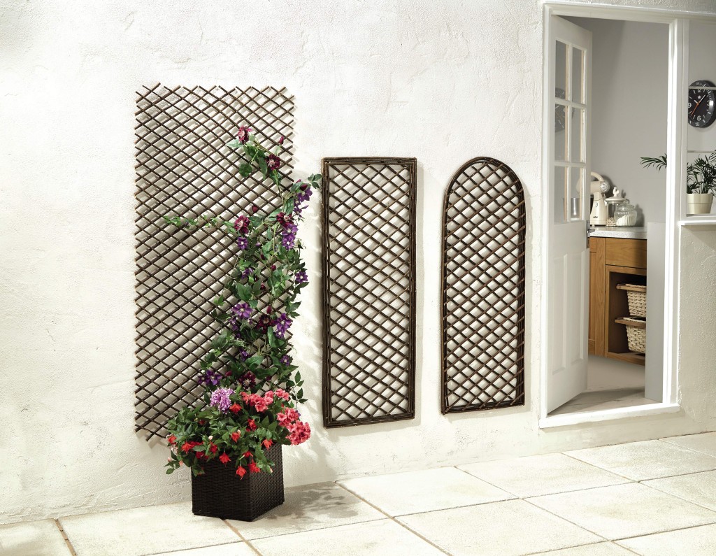 Aldi Specialbuys gardening range in store now.